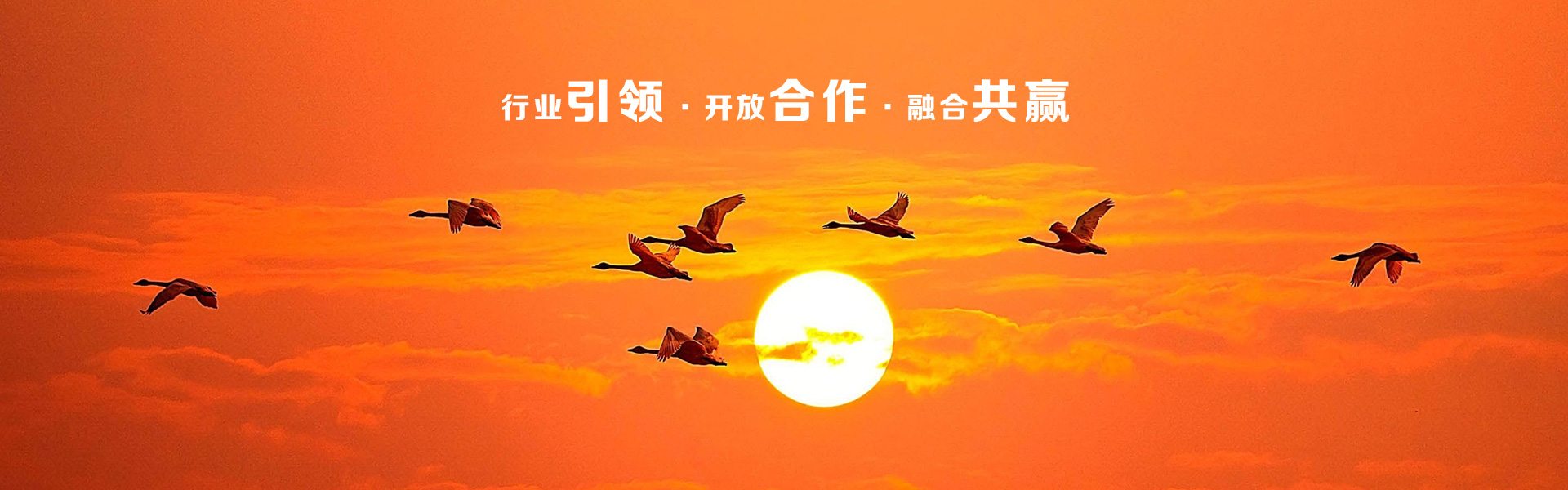ИII_źںϹA